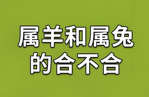 什么属相的夫妻相克？夫妻相克表的12生肖配对表