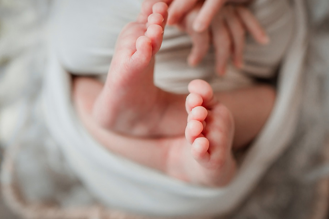 宝宝的手和脚