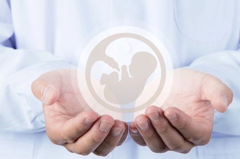 子宫什么情况不能做试管婴儿？评估生育条件的关键因素