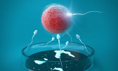 卵巢早衰怎么办还能调整回来吗？女性卵巢早衰的调理方法