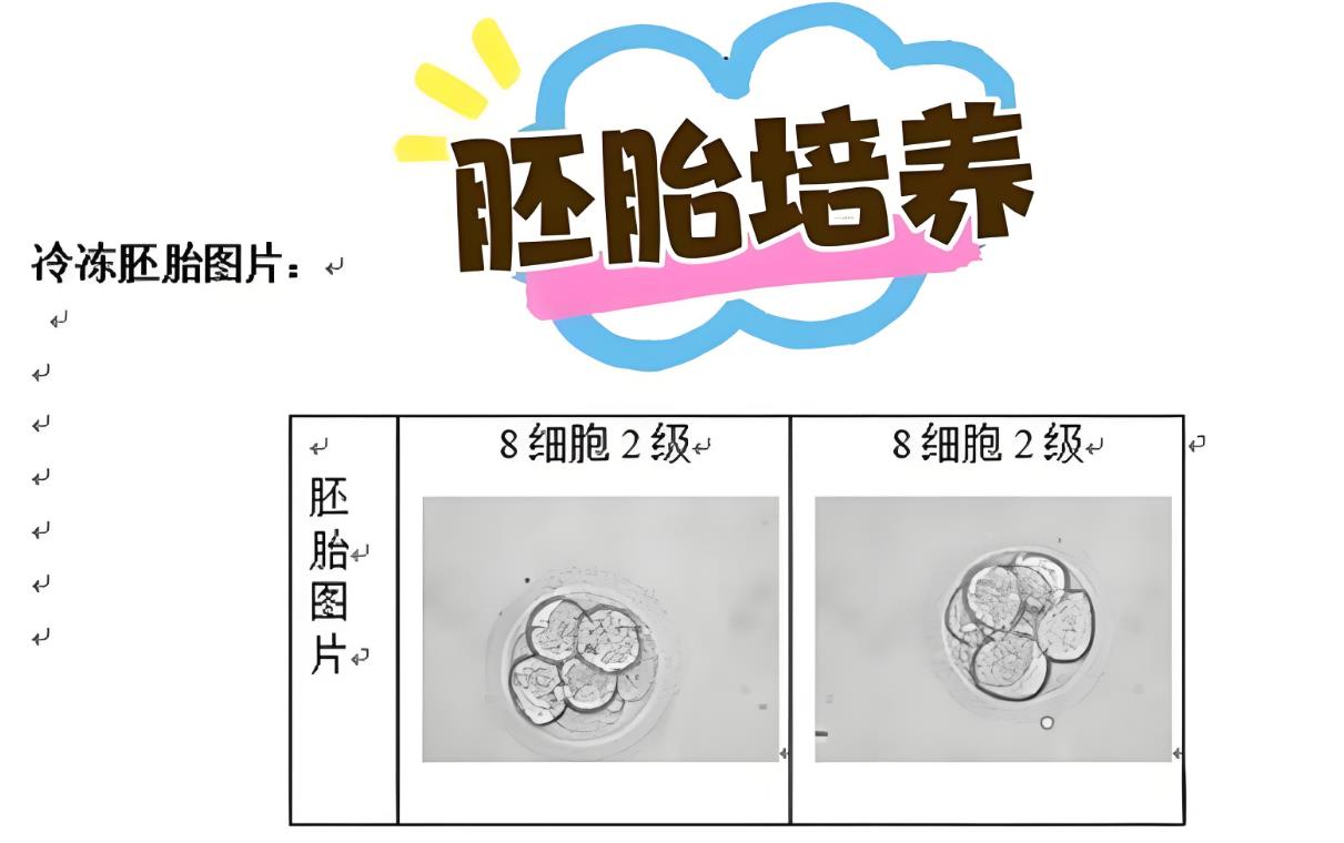 泰国试管胚胎培养和囊胚培养要分别收费？