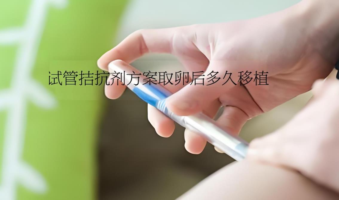 试管拮抗剂方案取卵后多久移植