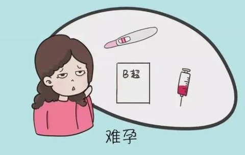 久备不孕怎么提高怀孕几率？专家策略与生活方式调整