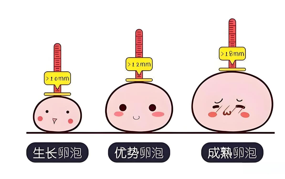 卵泡没成熟就排了会怀孕吗